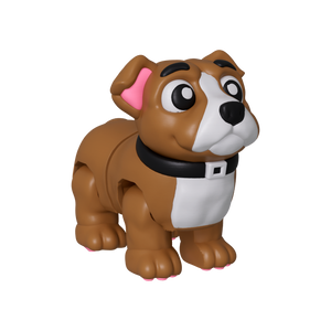 Pittunia (Pitbull)