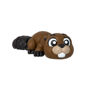 Bucky (Beaver)